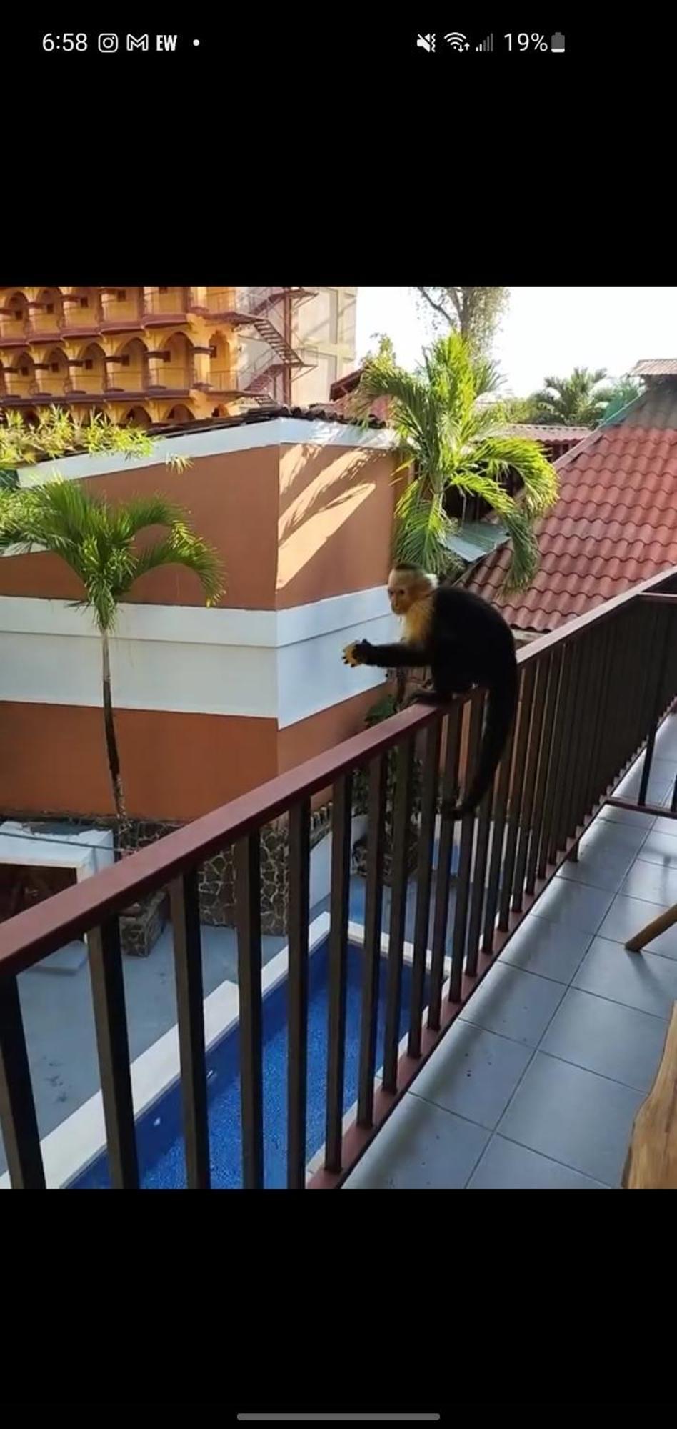 Hotel Villa Prats Manuel Antonio Eksteriør billede
